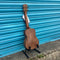 Tanglewood TWT8E Tiare Concert Koa Electro Ukulele with Gig Bag