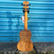 Kala KAFMCG2006 Solid Spruce Top Concert Ukulele