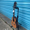Snail BHC-6C Solid Cedar Concert Ukulele, Inc. Gig Bag