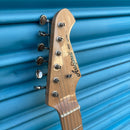 (Pre-Loved) Aria 615 Series Telecaster Electric Guitar