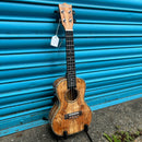 Blackwater YWUK 24FM Concert ukulele (Including Gig Bag)