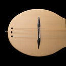 Seagull by Godin - M4 Sprice Folk Instrument