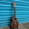 Tanglewood TWT21-E Electro Concert Ukulele Inc. Gig Bag