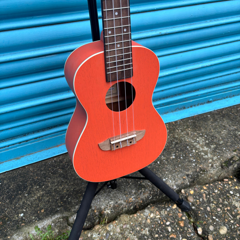 Ortega Earth Series Concert Ukulele Hokkaido Pumpkin Orange RUPUKI