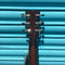 Cort Earth Mini EARTHMINI Open Pore Acoustic Guitar Inc. Gig Bag