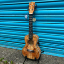 Blackwater YWUK 24FM Concert ukulele (Including Gig Bag)