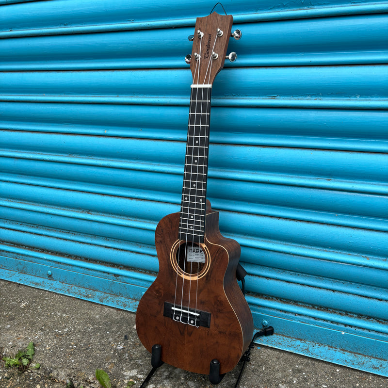 Tanglewood TWT21-E Electro Concert Ukulele Inc. Gig Bag