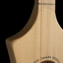 Seagull by Godin - M4 Sprice Folk Instrument
