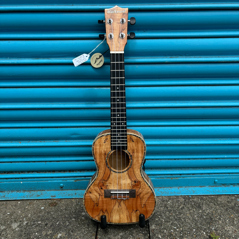 Blackwater YWUK 24FM Concert ukulele (Including Gig Bag)