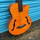 Aria FEB F2/FL M Hollow Body Fretless Medium Scale Electro Acoustic Bass