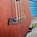 Gold Tone M-BASS Acoustic-Electric Micro Bass W/ Padded Gig Bag