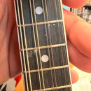 Tanglewood TWM T BKPE Electro Mandolin (B-Stock)