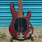 Sterling Sub by Music Man Ray 4 Bass Guitar in Walnut Satin