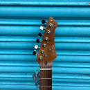 Northstar Pro Single Cut Electric Guitar in Black (Tele Inspired) NSP2BK