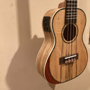 Blackwater - Electro Concert Ukulele with Gig Bag - Spalted Maple YWUK-24PHEQ