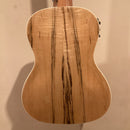 Blackwater - Electro Concert Ukulele with Gig Bag - Spalted Maple YWUK-24PHEQ