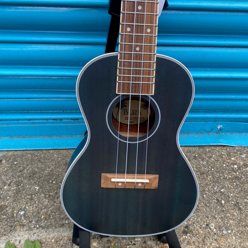 Adam Black CB120 Concert Ukulele - See Through Blue