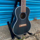 Adam Black CB120 Concert Ukulele - See Through Blue