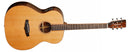 Tanglewood Java TJ3E Electro Acoustic Guitar in Natural Gloss