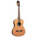 ORTEGA R20GSNWN Traditional Series 4/4 Nylon String Guitar 6-String + Pro Gig Bag