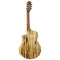 ORTEGA - Billy Watman Signature Nylon String Guitar with Gig Bag - BYWSM