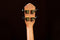 Ortega Timber Series Concert Ukulele with Gig Bag - Open Pore Finish