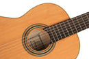 ORTEGA R20GRG Traditional Series 4/4 Nylon String Guitar 6-String + Pro Gig Bag