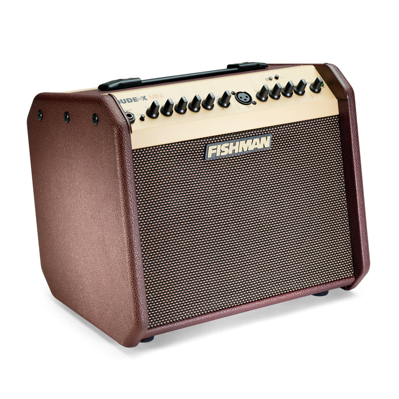 Fishman Loudbox Mini PRO-LBT-500 w/ Bluetooth