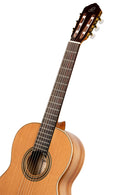 ORTEGA R20GRG Traditional Series 4/4 Nylon String Guitar 6-String + Pro Gig Bag