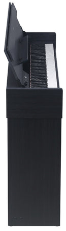 Medeli ANDROMEDA Series Digital Compact Piano. 88 Key. Black
