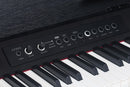 Medeli ANDROMEDA Series Digital Compact Piano. 88 Key. Black