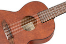 ORTEGA Bonfire Series Tenor Ukulele 8-String