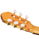 ORTEGA R20GRG Traditional Series 4/4 Nylon String Guitar 6-String + Pro Gig Bag