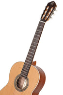 ORTEGA R18SSN Traditional Series 4/4 Nylon String Guitar 6-String - Satin + Pro Gig Bag