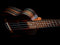 Ortega Timber Series Concert Ukulele with Gig Bag - Open Pore Finish