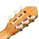 ORTEGA R20GRG-L Traditional Series 4/4 Nylon String Guitar 6-String + Pro Gig Bag