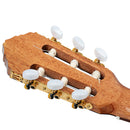 ORTEGA R20GSNWN Traditional Series 4/4 Nylon String Guitar 6-String + Pro Gig Bag