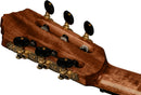ORTEGA GRSUITE-TCE The Private Room 4/4 Nylon String Guitar 6-String + Gig Bag