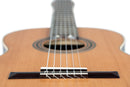ORTEGA R19G Traditional Series 4/4 Nylon String Guitar 6-String + Pro Gig Bag