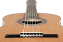 ORTEGA R18SSN Traditional Series 4/4 Nylon String Guitar 6-String - Satin + Pro Gig Bag