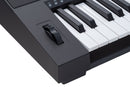 Medeli MK401 Millenium Series 61 Key Keyboard - Black