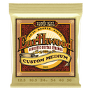 Ernie Ball Earthwood Acoustic Guitar Strings