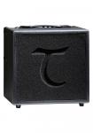 Tanglewood T6 60W Acoustic Amplifier