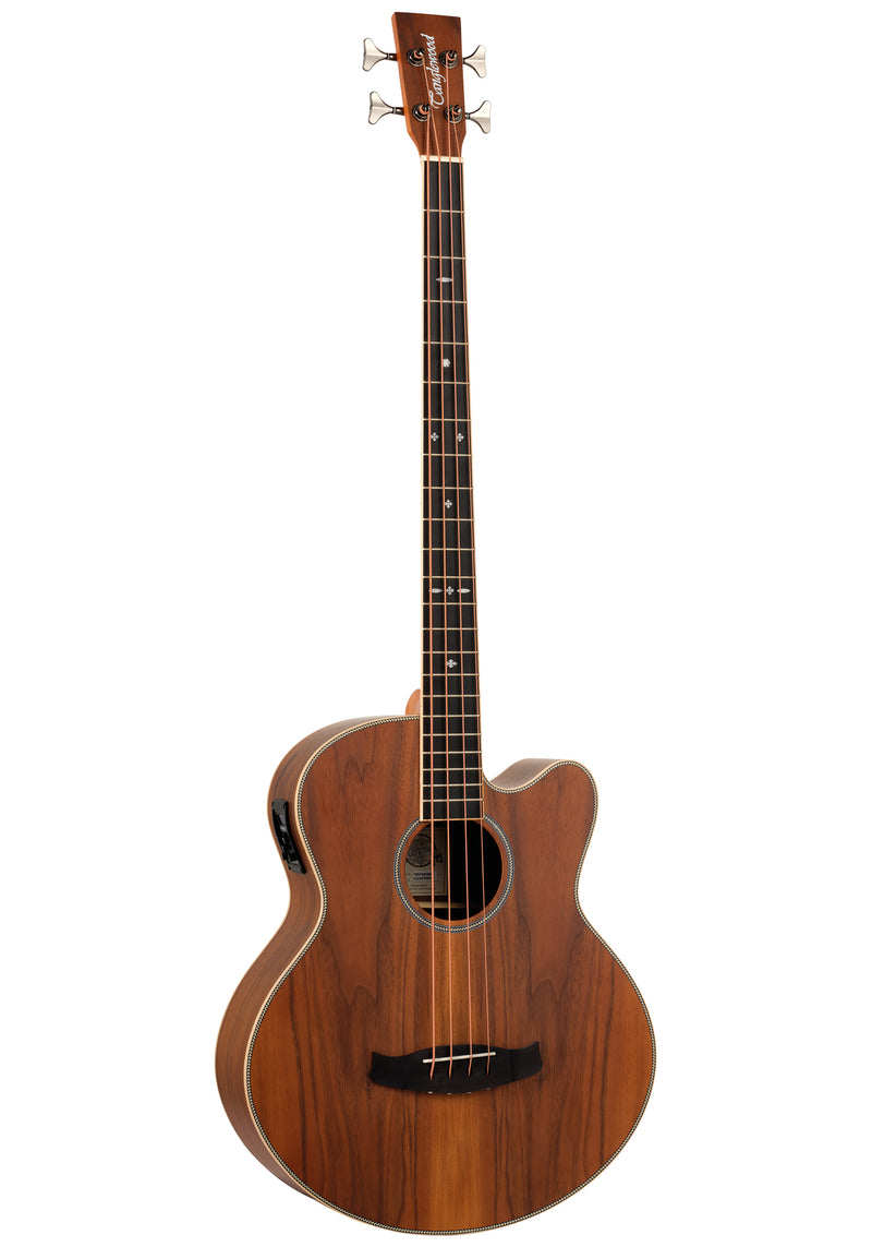 Tanglewood Acoustic Jumbo Bass