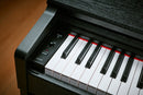 Medeli Educatioinal Series Digital Upright Piano in Black