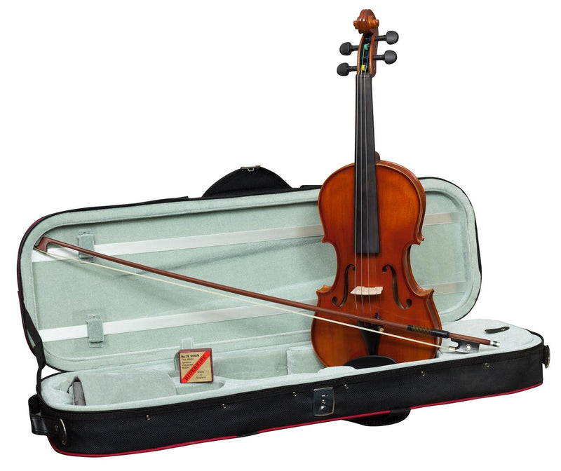 (B-Stock) Hidersine - Academy Vivente Violin, Equipped with Wittner Geared Pegs (3/4)