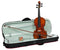Hidersine Academy Vivente Violin equipped with Wittner geared pegs