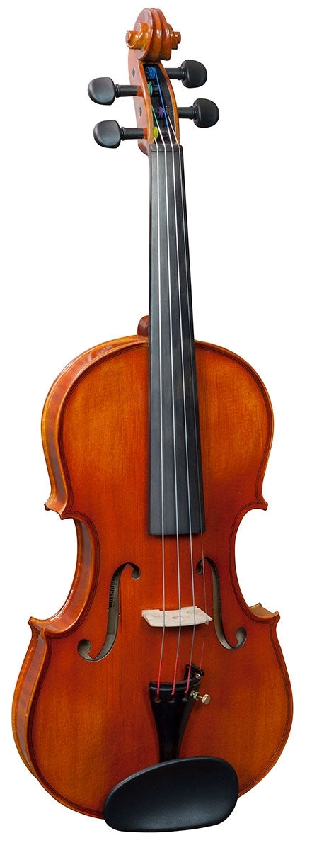Hidersine Academy Vivente Violin equipped with Wittner geared pegs