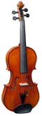 (B-Stock) Hidersine - Academy Vivente Violin, Equipped with Wittner Geared Pegs (3/4)