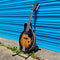 Tanglewood Union Series Mandolin TWMF VSE